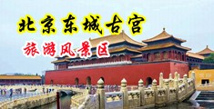 啊啊啊啊不要操我在线免费中国北京-东城古宫旅游风景区